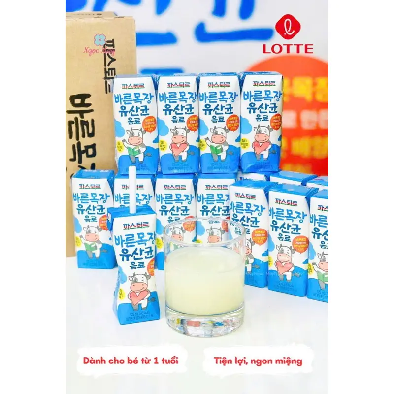 SỮA HÁU ĂN LOTTE LỢI KHUẨN - Ảnh 3