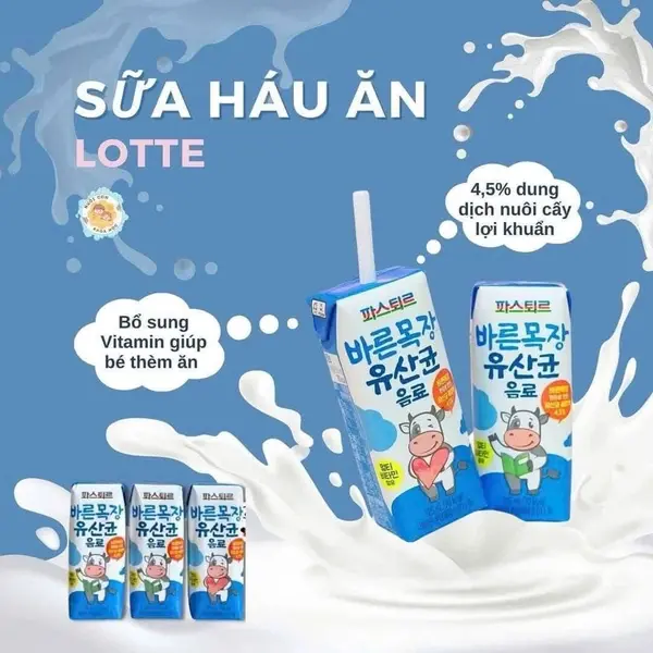 SỮA HÁU ĂN LOTTE LỢI KHUẨN - Ảnh 2